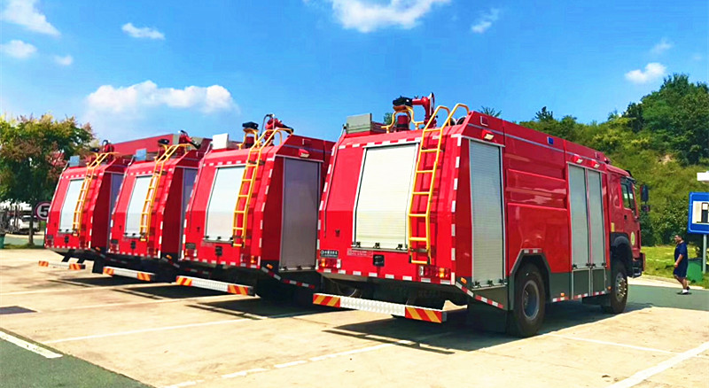 ���(q��)ɭ������܇�������������(q��)ɭ������܇�����M(f��i)��(b��o)�r(ji��)��